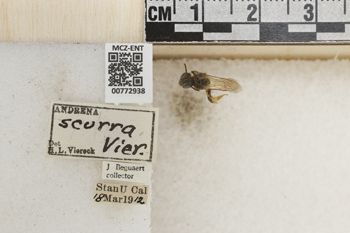 Media type: image;   Entomology 772938 Aspect: Labels